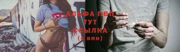 тгк Богородск