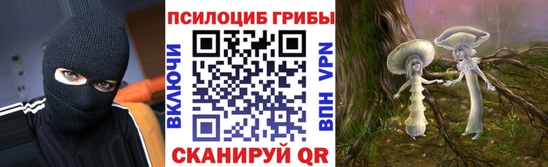 магазин  наркотиков  Йошкар-Ола  Псилоцибиновые грибы мицелий 